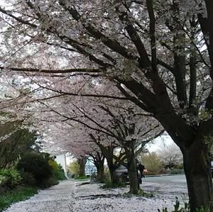 Meet your Posher, Vic